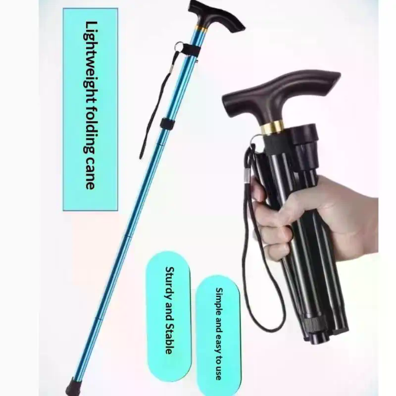 Bâton de marche télescopique e - Trekking Poles avis et prix