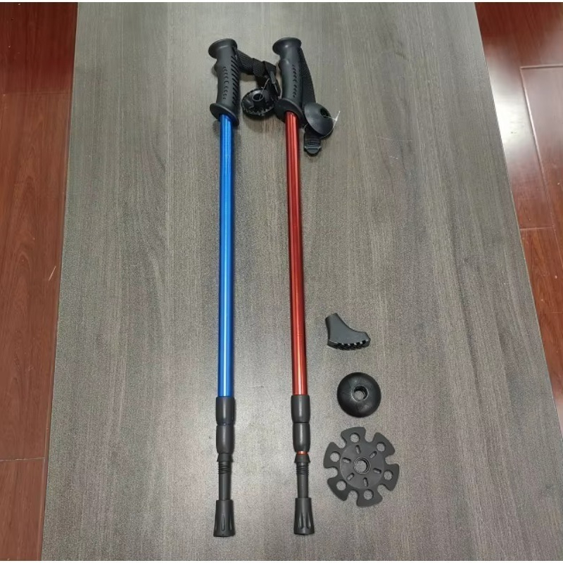 Bâtons de randonnée télescopiq - Trekking Poles avis et prix